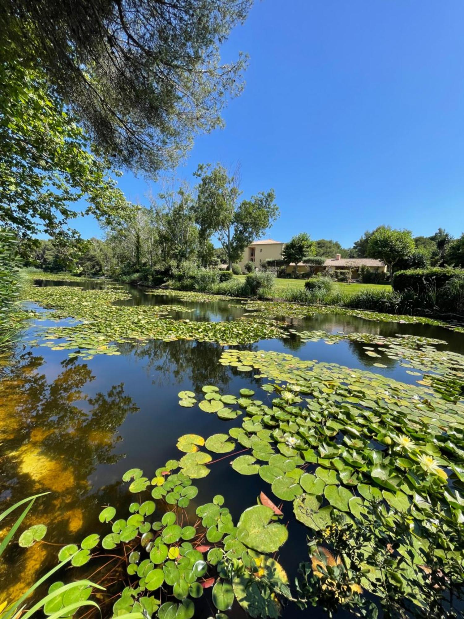 Le Rayon Vert Six-Fours-les-Plages Exterior foto